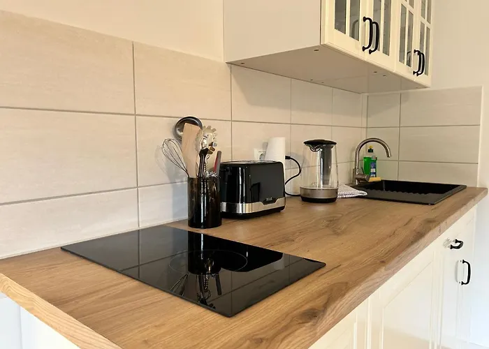 Apartment Stilvoll Wohnen In Bester Lage Schwerins *